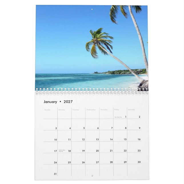 Summer all year long, 2010 calendar (Jan 2027)