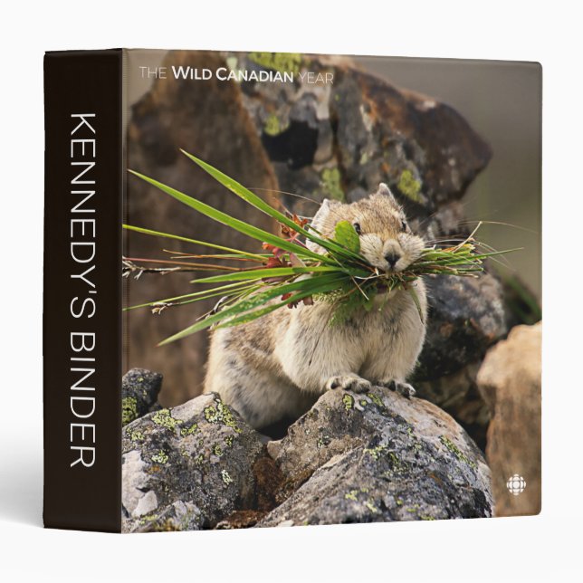 Summer - American Pica 3 Ring Binder (Front/Spine)