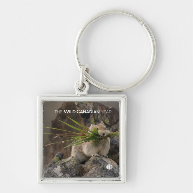 Summer - American Pica Keychain (Front)