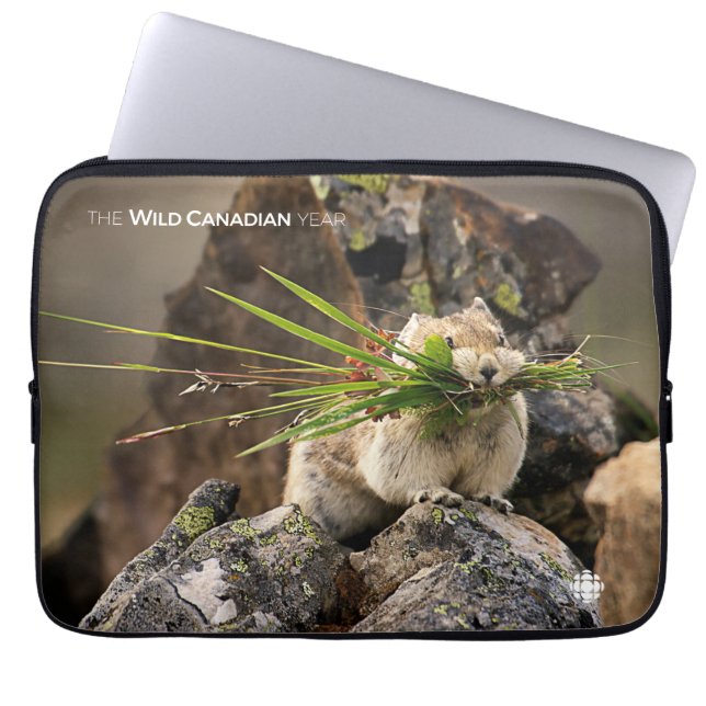 Summer - American Pica Laptop Sleeve (Front)