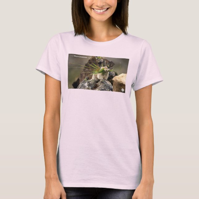 Summer - American Pica Women's T-Shirt (Front)