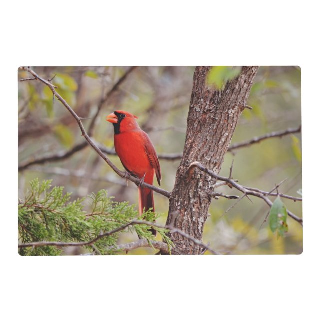 Summer and Winter Red Cardinal Bird Nature Placemat (Front)