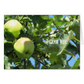 Summer Apples (Front Horizontal)