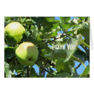 Summer Apples Cards