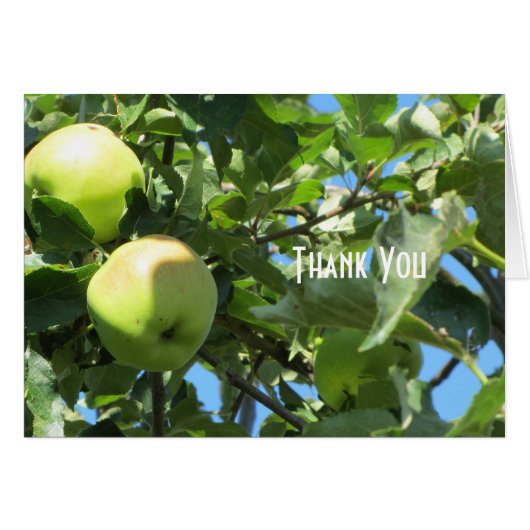 Summer Apples Cards (Front Horizontal)