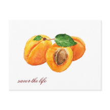 Summer apricots savor the life watercolor