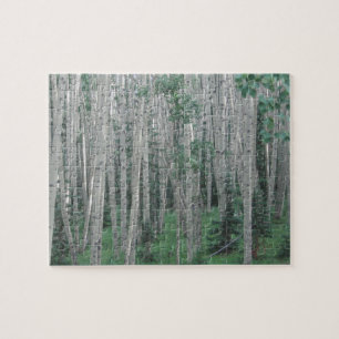 Summer Aspen Trees - 8x10 - 110 pcs Jigsaw Puzzle