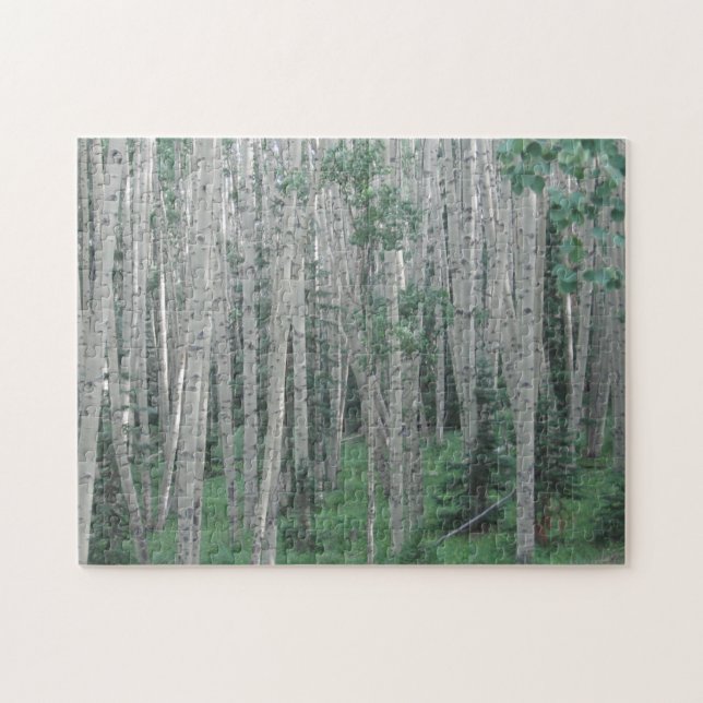 Summer Aspen Tress - 11x14 - 252 pcs Jigsaw Puzzle (Horizontal)