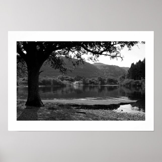 Summer at Strandshag Bay Poster (Front)