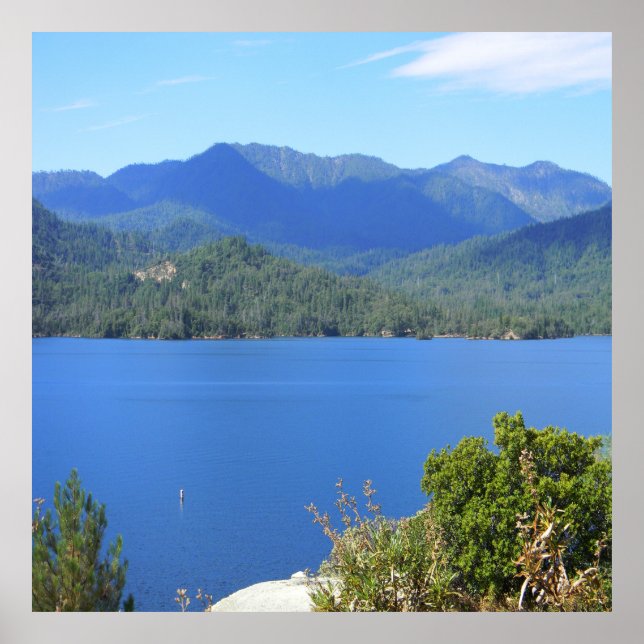 Summer at the Lake...... Poster (Front)