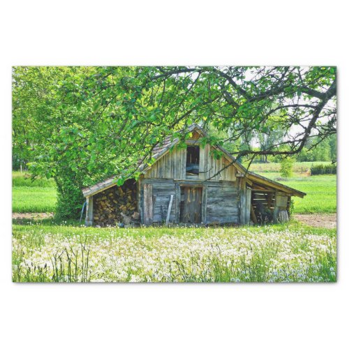 Summer Barn with Stacks of Logs  Dandelion Field Tissue Paper
