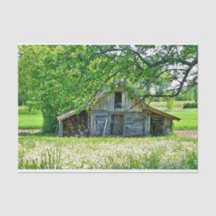 Summer Barn with Stacks of Logs & Dandelion Field Tissue Paper