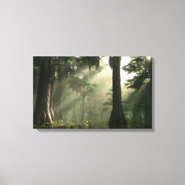 Summer Bayou Canvas Print (Front)