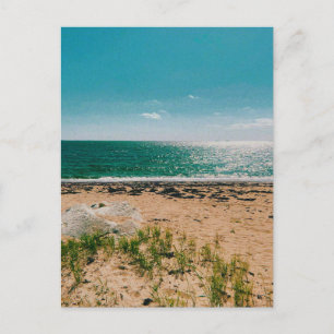 Summer beach day in the Swedish Archipelago  Holiday Postcard