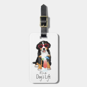 Summer Bernese Mountain Dog Luggage Tag