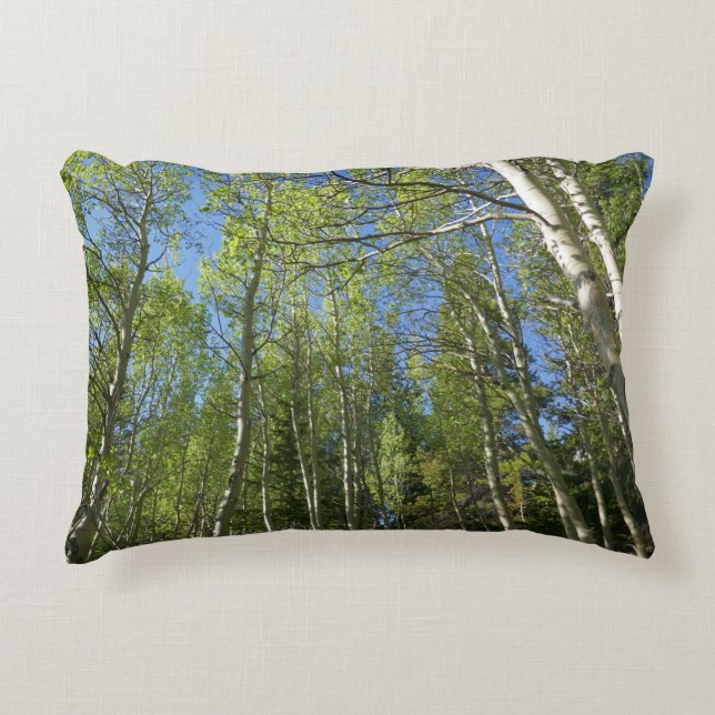 Summer Birch Trees at Rocky Mountain Accent Pillow (Front)