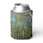 Summer Birch Trees at Rocky Mountain Can Cooler