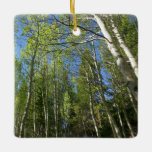 Summer Birch Trees at Rocky Mountain Ceramic Ornament