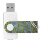 Summer Birch Trees at Rocky Mountain Flash Drive