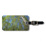 Summer Birch Trees at Rocky Mountain Luggage Tag