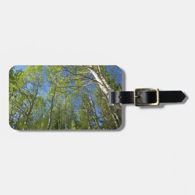 Summer Birch Trees at Rocky Mountain Luggage Tag (Front Horizontal)
