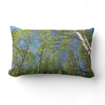 Summer Birch Trees at Rocky Mountain Lumbar Pillow