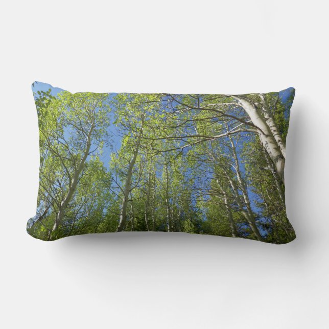 Summer Birch Trees at Rocky Mountain Lumbar Pillow (Front)