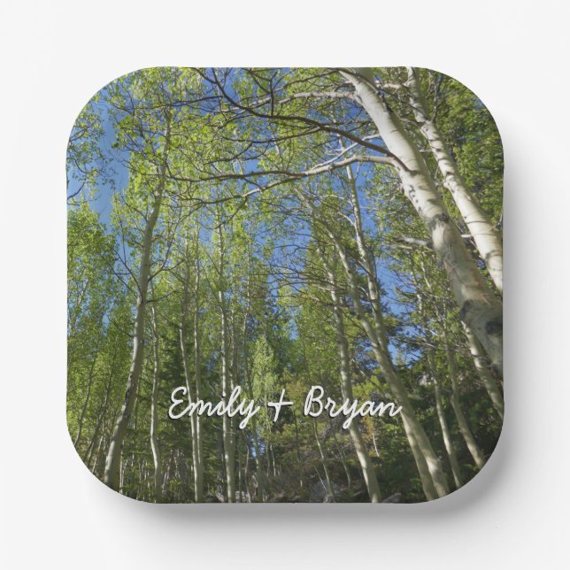 Summer Birch Trees at Rocky Mountain Paper Plates (Front)