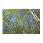 Summer Birch Trees at Rocky Mountain Placemat