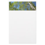 Summer Birch Trees at Rocky Mountain Stationery