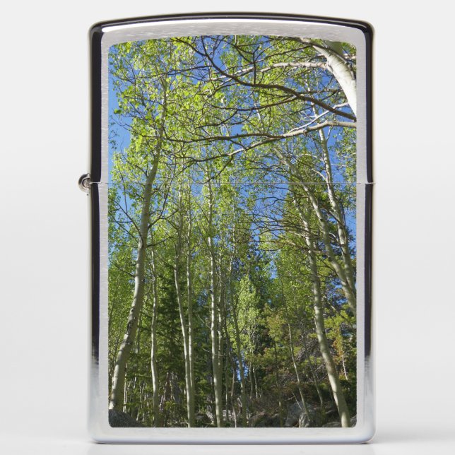 Summer Birch Trees at Rocky Mountain Zippo Lighter (Front)