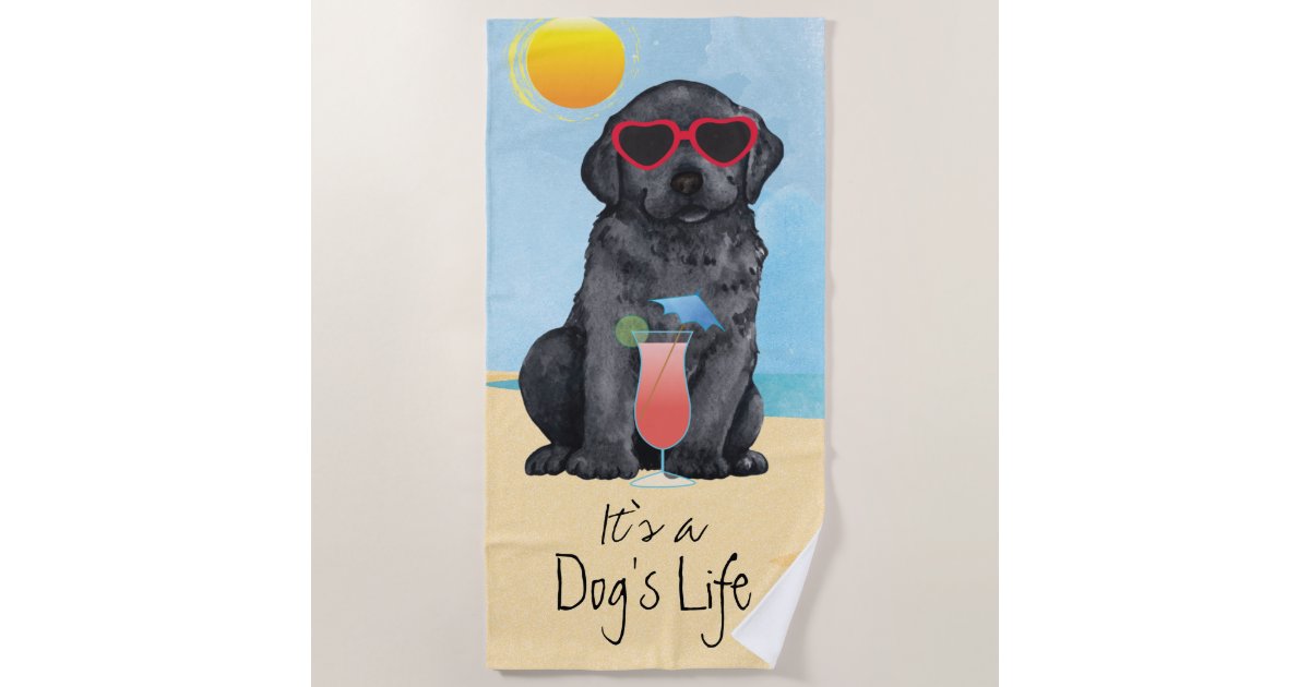 Summer Black Lab Beach Towel Zazzle