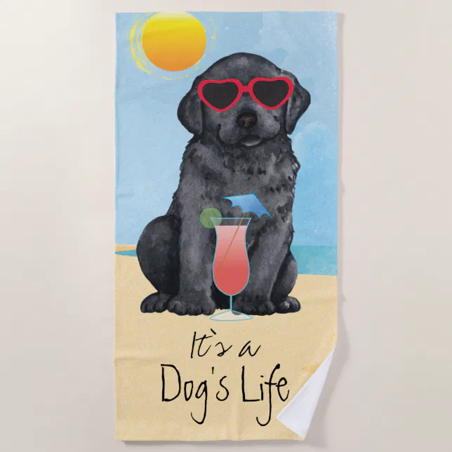 Summer Black Lab Beach Towel Zazzle