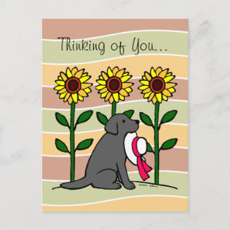 Summer Black Labrador with Sunflowers Postcard