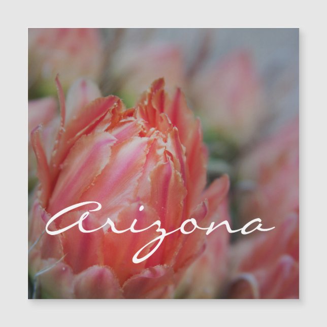 Summer blooms from Arizona (Front)