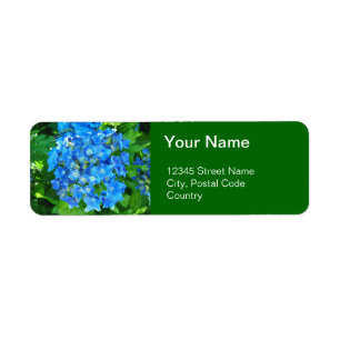 summer blue hydrangea flowers and its green leaves label