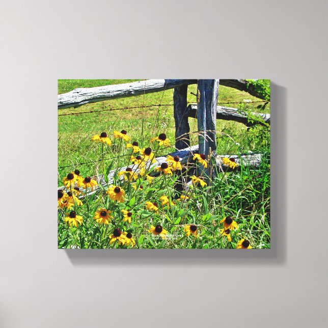 Summer Blue Ridge Parkway USA Wildflower Photo Canvas Print (Front)
