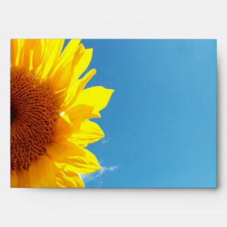 Summer Blue Sky with Yellow Sunflower Envelope