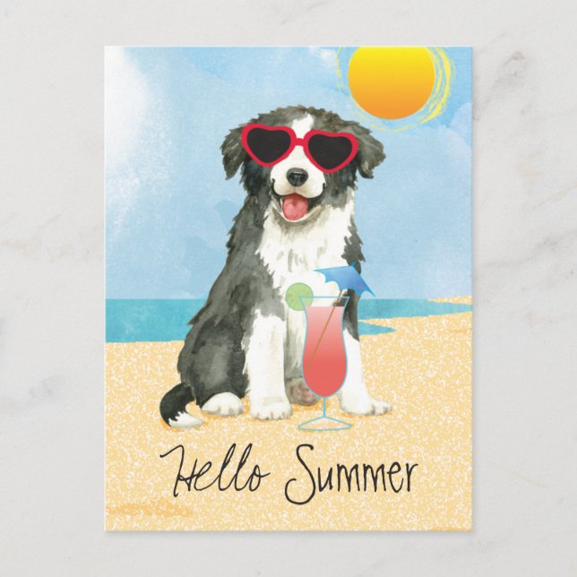 Summer Border Collie Postcard (Front)