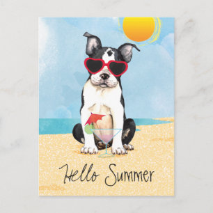 Summer Boston Terrier Postcard