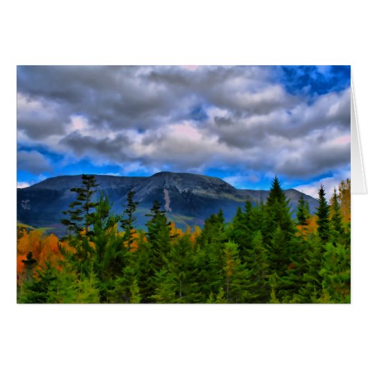 Summer Breeze (Front Horizontal)