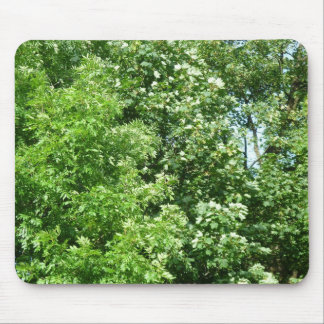 Summer Breeze Mouse Pad
