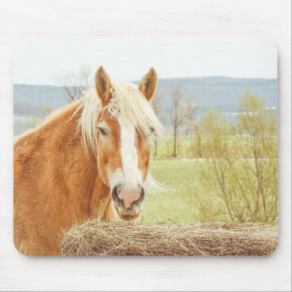 Summer Breeze Palomino Farm Horse  Mouse Pad
