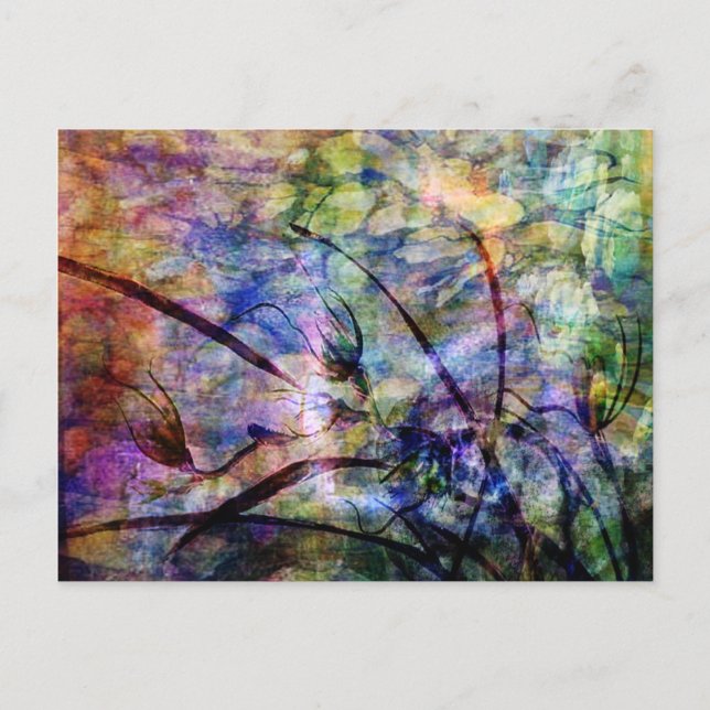 Summer Breeze Postcard (Front)