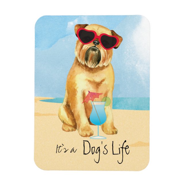 Summer Brussels Griffon Magnet (Vertical)