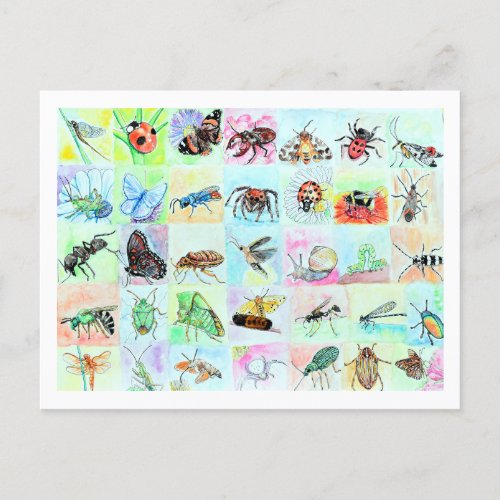 Summer Buggin Collection of Bugs in Watercolor Postcard