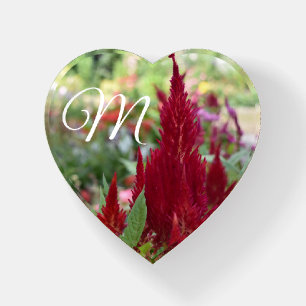 Summer Celosia Garden Floral Nature Photography Paperweight