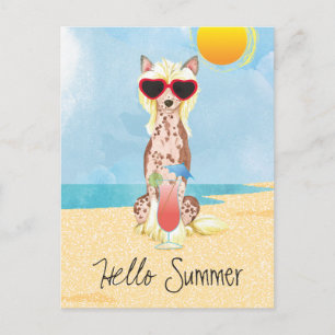 Summer Chinese Crested Postcard
