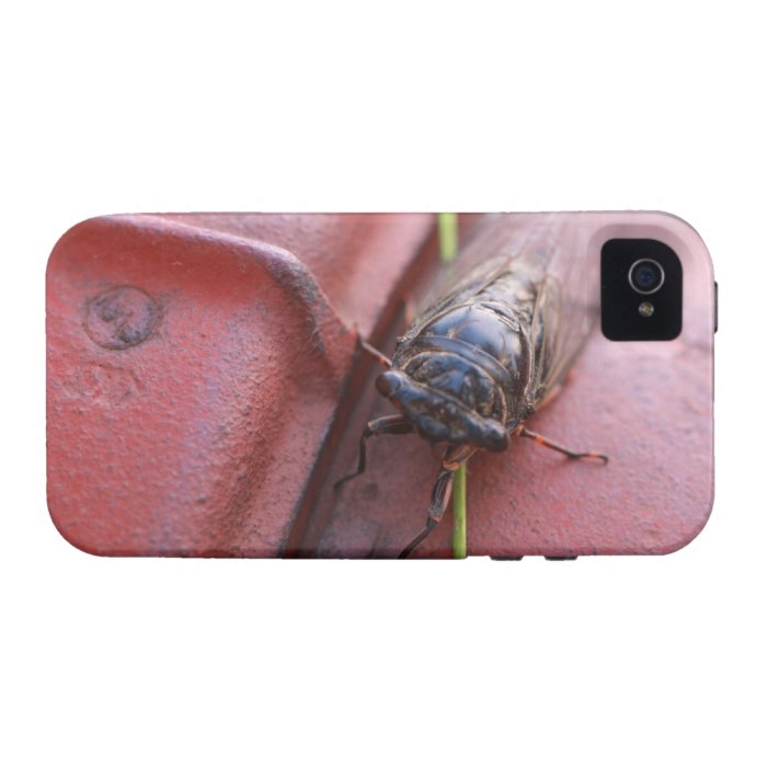 Summer Cicada Vibe iPhone 4 Cases