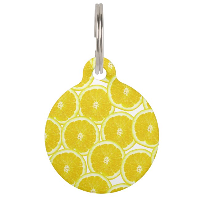 Summer Citrus Lemon Slices Pet Name Tag (Back)